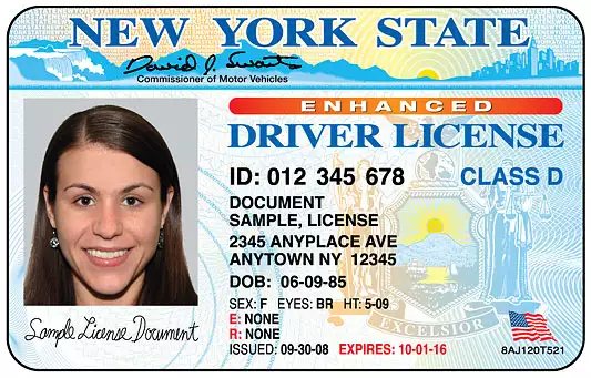 Driver Licenses