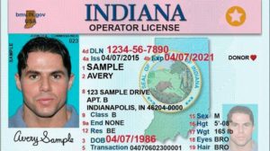 Американские права штат Индиана